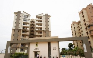 Sobha Hibiscus