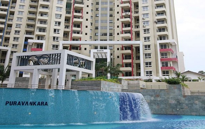 Purva Gold Crest