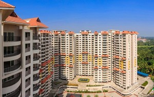 Purva Eternity
