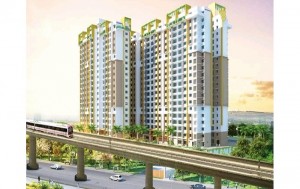 Purva Sunflower