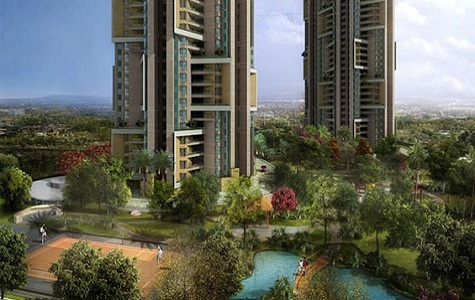 Brigade exotica rent deals
