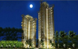 Purva Moonreach