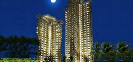 Purva Moonreach