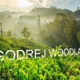 Godrej Woodland