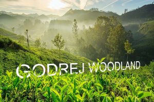 Godrej Woodland